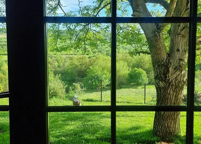 ヴィラ ферма 